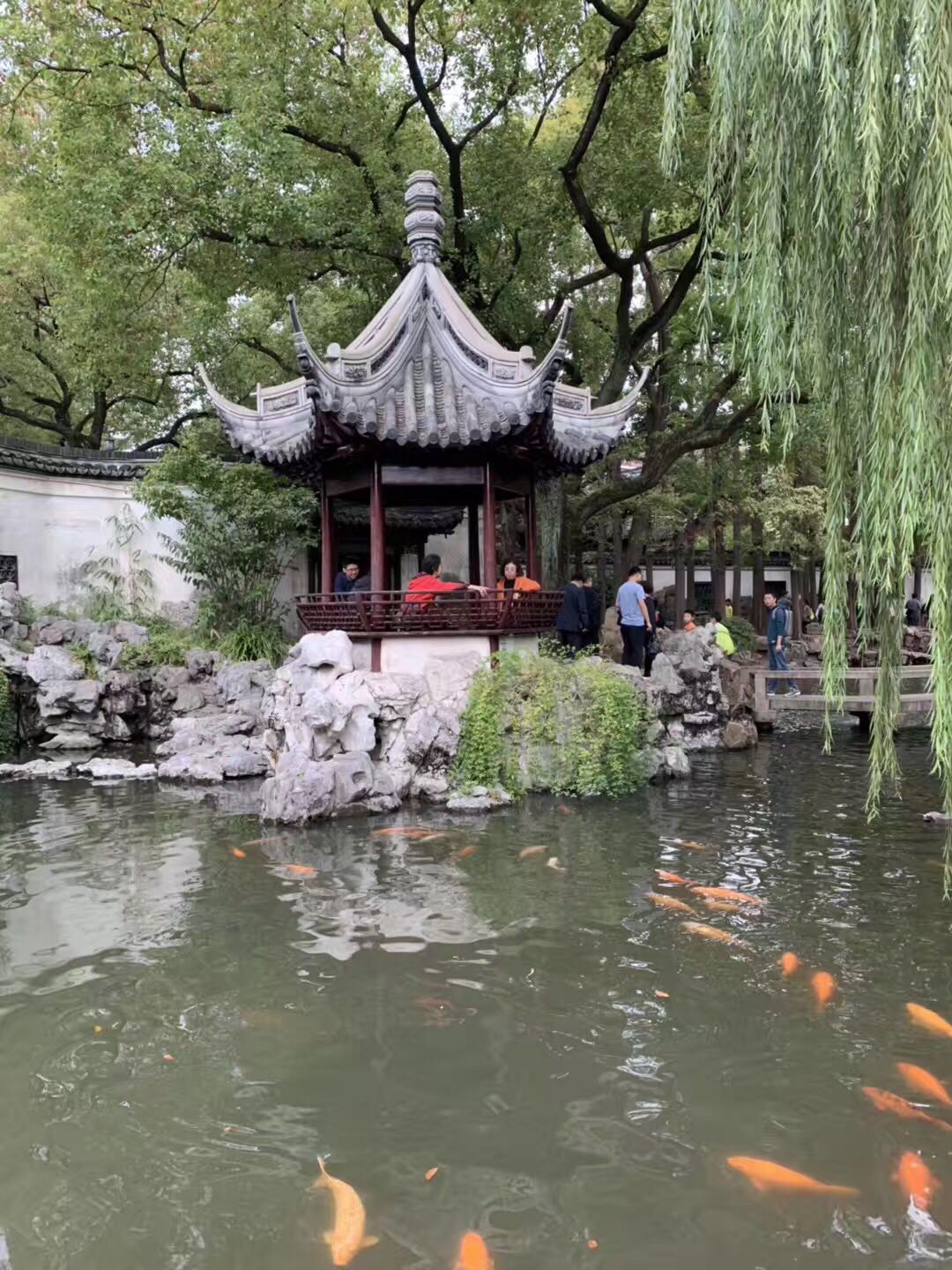 Сад Радости Юйюань 豫园 Yu Garden